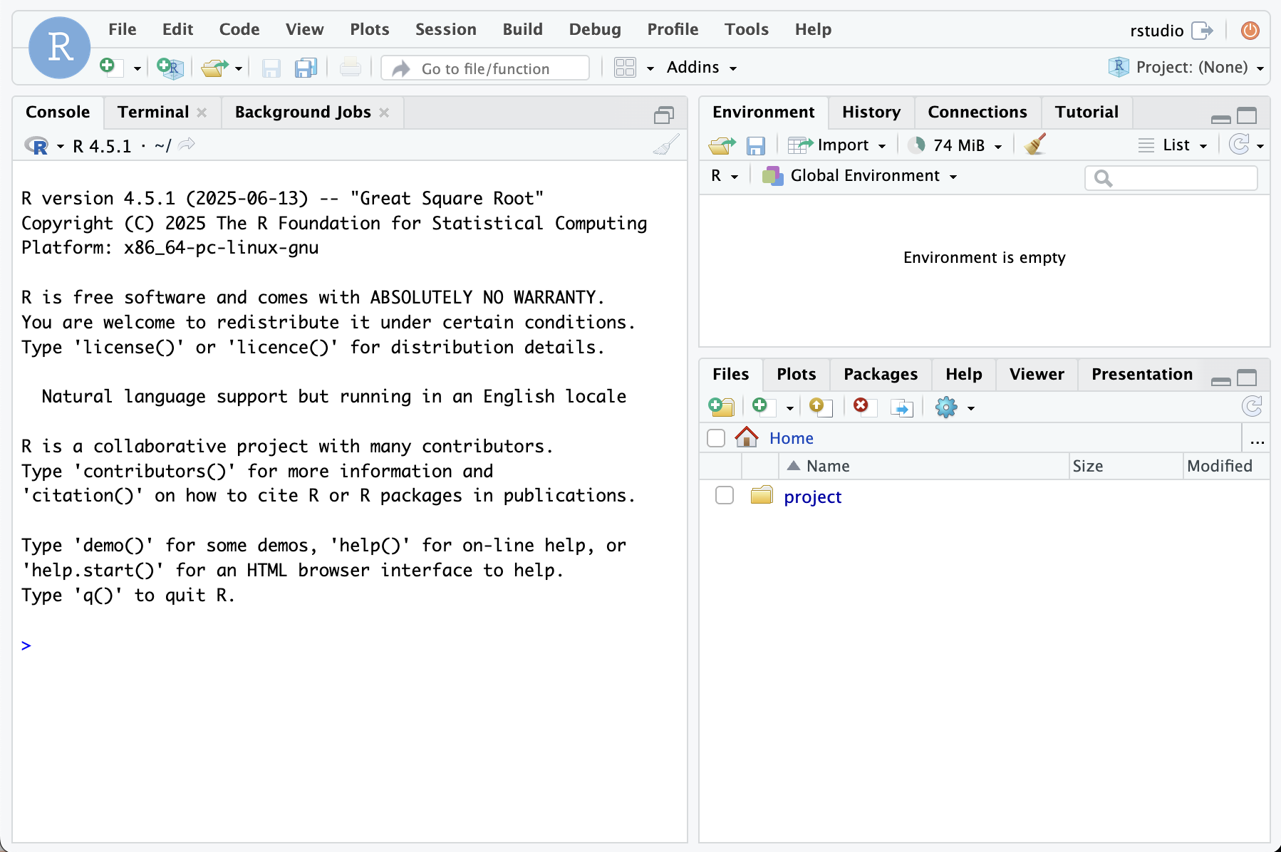 RStudio Server
